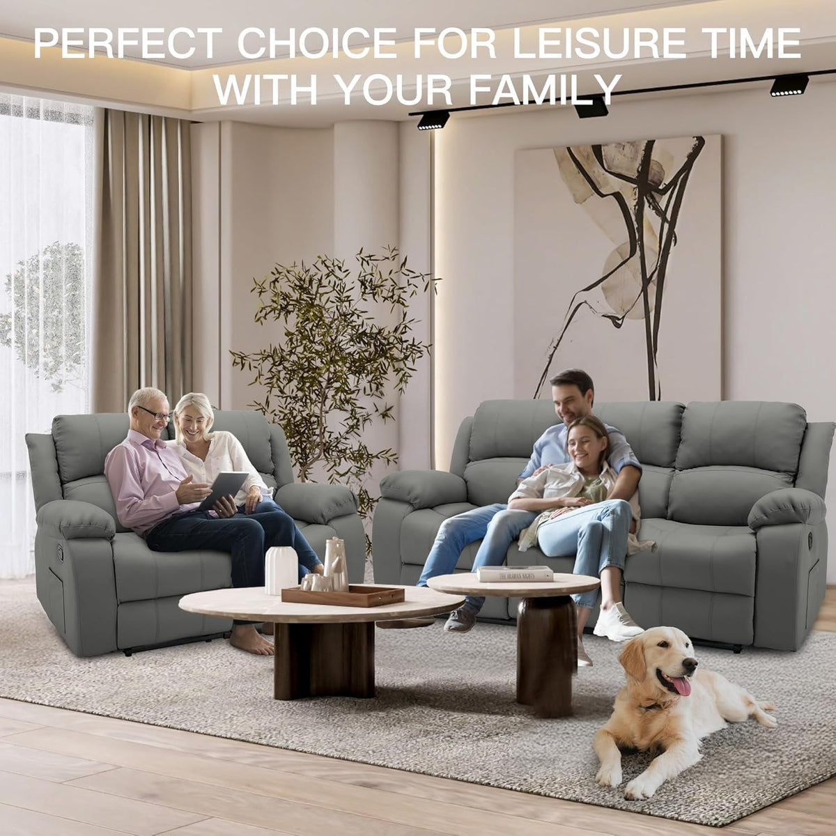 Chizzysit Reclining Couch Sleeper Sofa Set Chaise Lounge Chair Leather Recliner Couch Loveseat for Living Room, Theater Seating - Gray